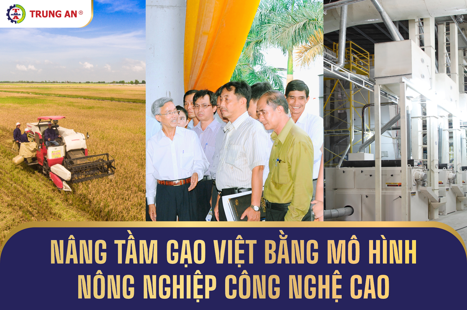 Mô hình nông nghiệp công nghệ cao nâng tầm giá trị hạt gạo Việt
