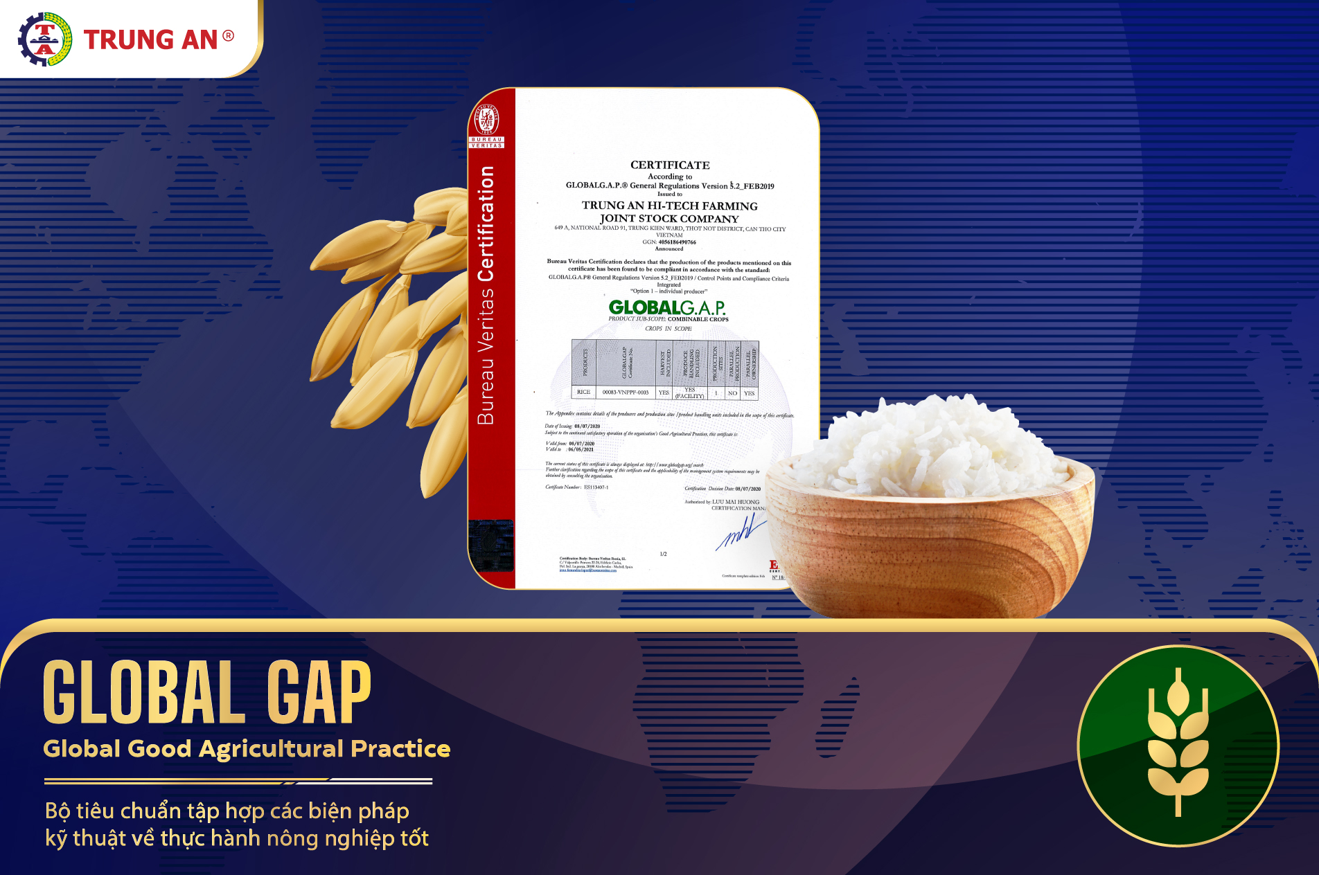 Tiêu chuẩn GlobalGAP: Chứng Minh Tiêu Chuẩn An Toàn Gạo Trung An