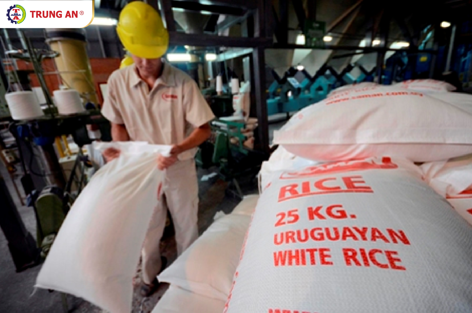 quốc gia xuất khẩu gạo lớn nhất