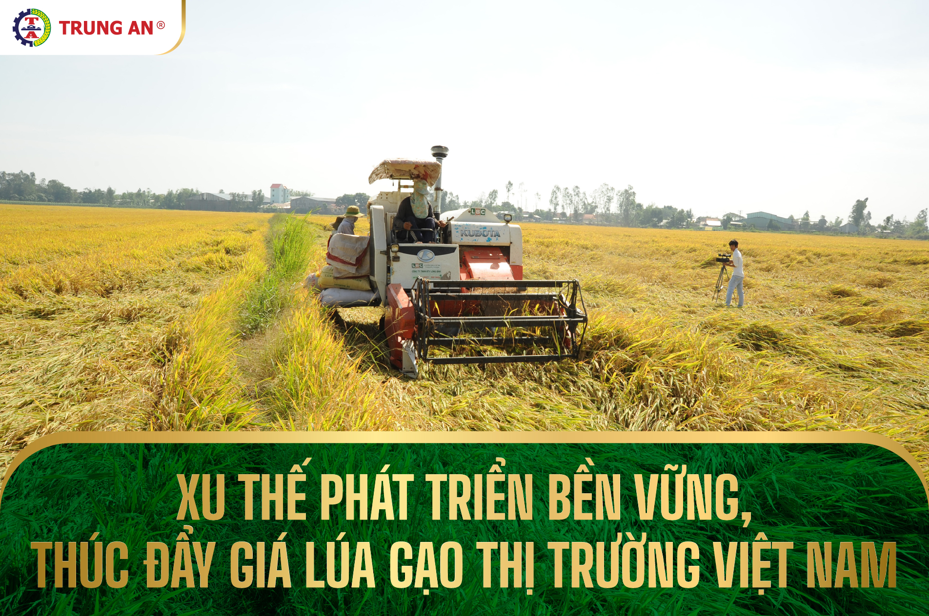 Xu thế phát triển bền vững, thúc đẩy giá lúa gạo thị trường Việt Nam