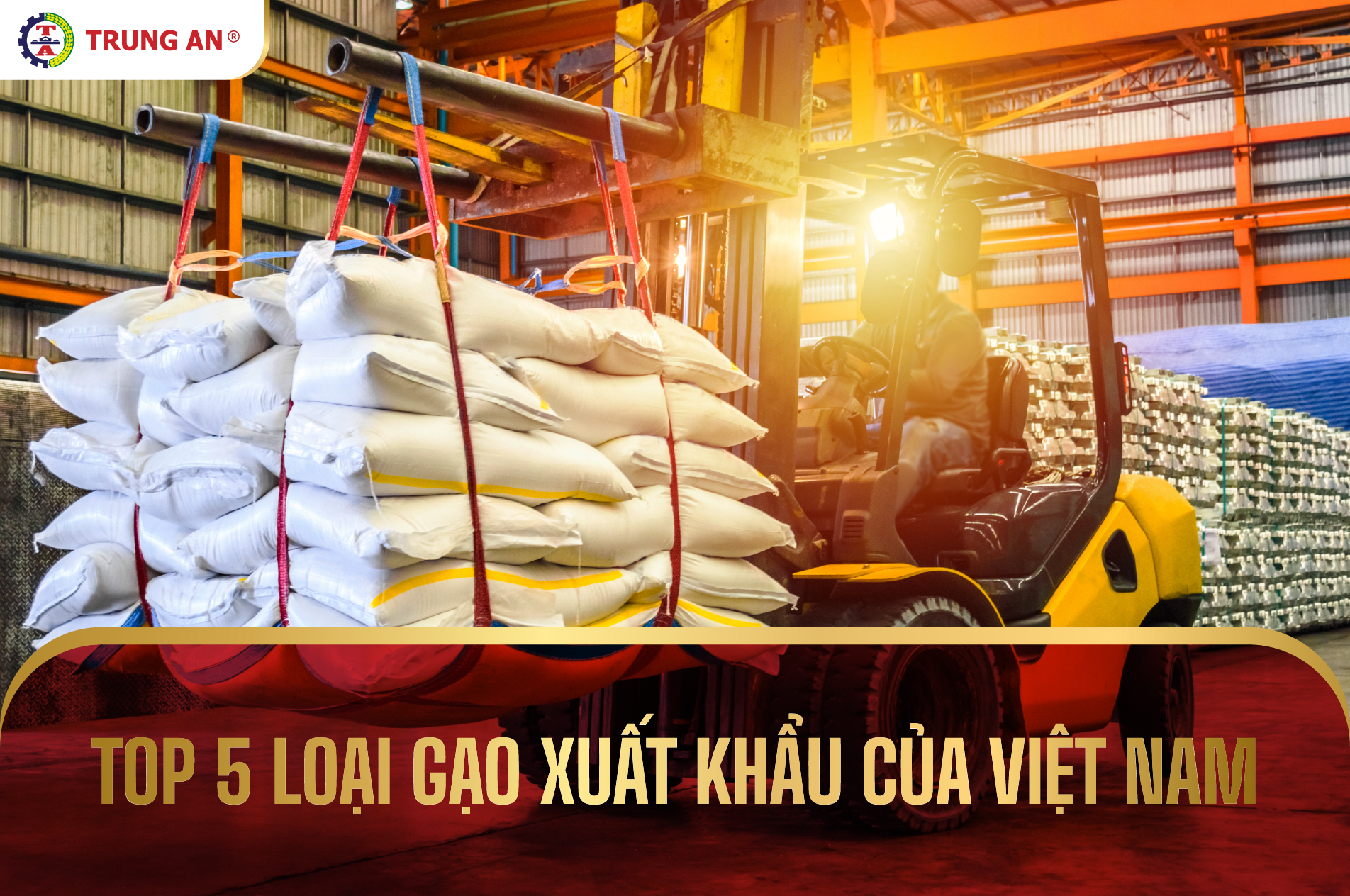 Top 5 các loại gạo xuất khẩu của Việt Nam