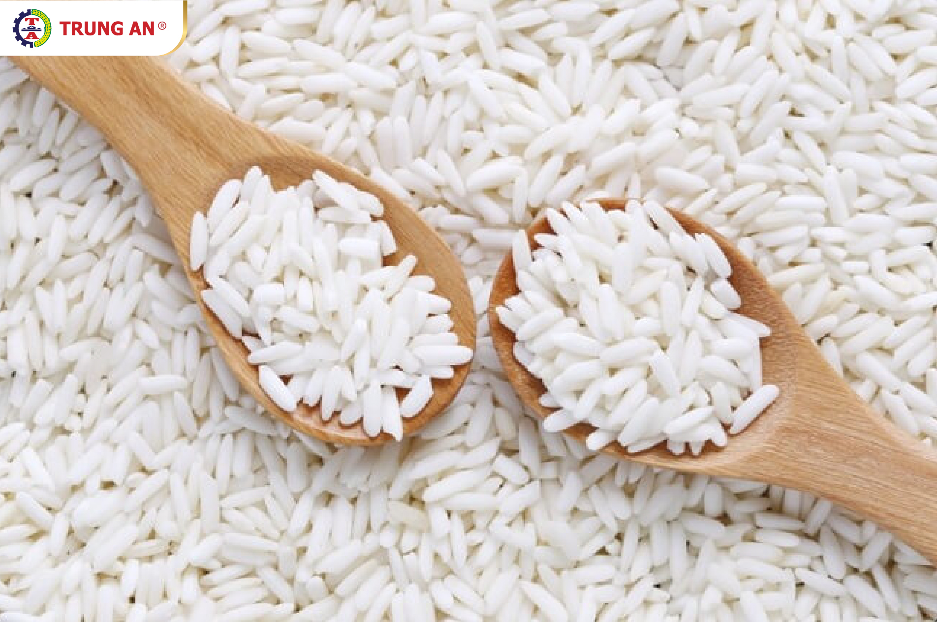 các loại gạo xuất khẩu của Việt Nam