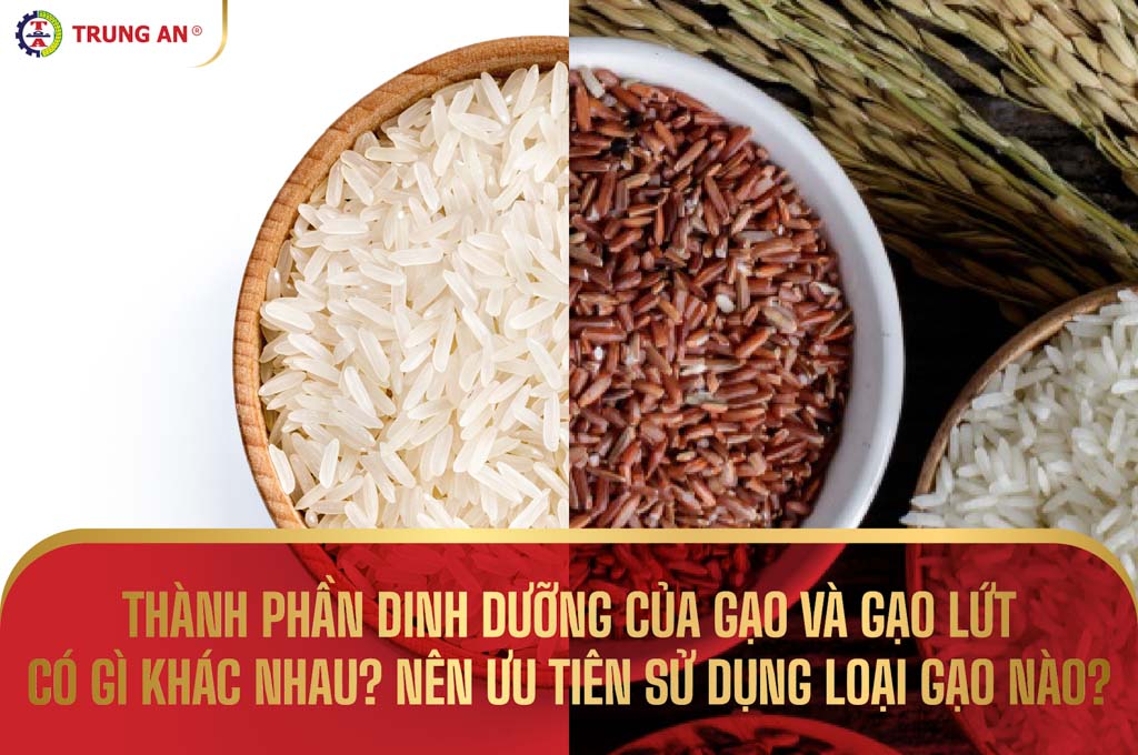 Thành phần dinh dưỡng của gạo có gì? Nên ưu tiên sử dụng loại gạo nào?